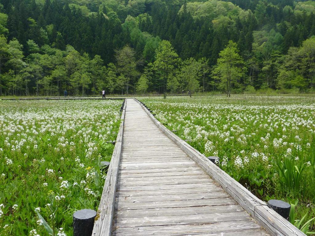 Pension Ciel Hakuba Esterno foto