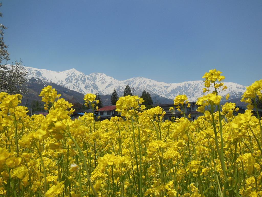 Pension Ciel Hakuba Esterno foto