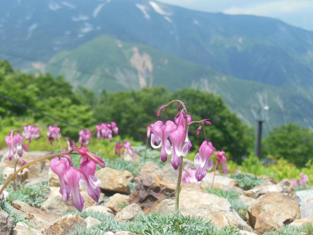 Pension Ciel Hakuba Esterno foto